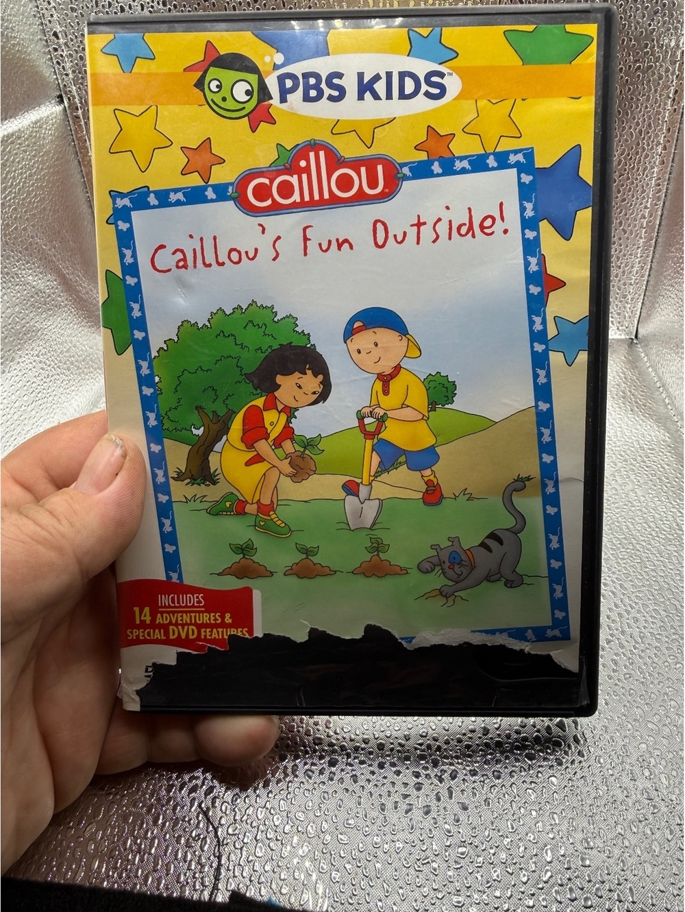 PBS Kids Caillous Fun Outside DVD